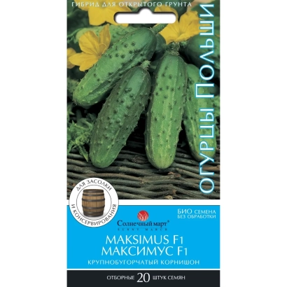 Seed packet of cucumber Maksimus F1