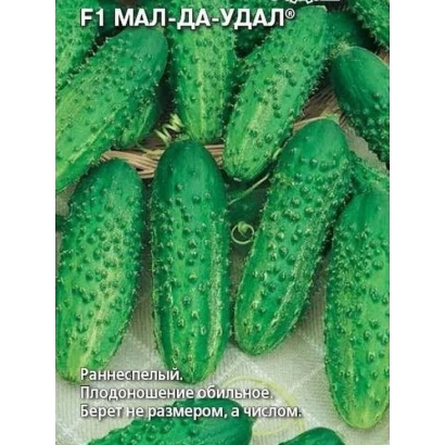 Cucumber seeds variety MAL-DA-UDAL on packaging