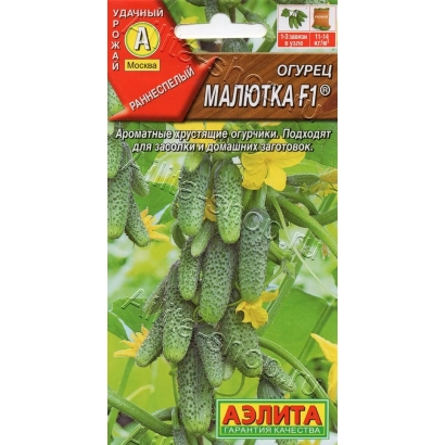 Seed packet of cucumber Malyutka F1 with fruit illustration