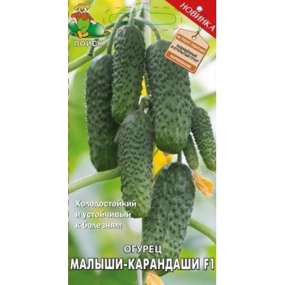 Cucumber seeds «Malyshi-Karandashi F1» on packaging with fruit image