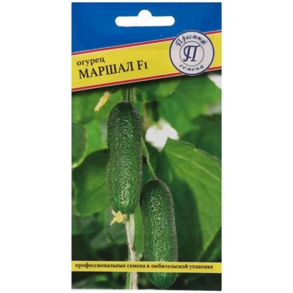 Seed packet of cucumber Marshal F1 with image of fruits