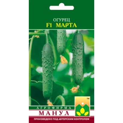 Насіння огірка сорту Марта F1 на фоні зелених плодів