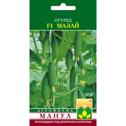 Семена огурца Мазай F1 на фоне зеленых плодов