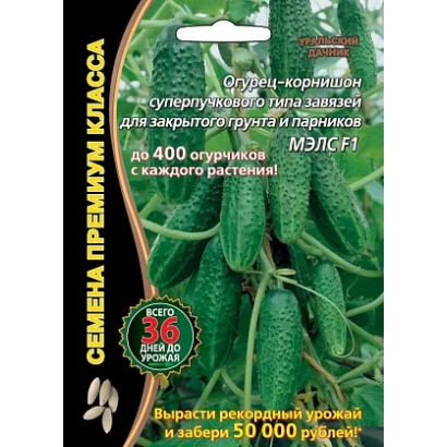 Пакет семян огурца МЭЛС F1 с изображением зеленых огурцов