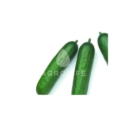 Три зеленых огурца на белом фоне - Мертус F1