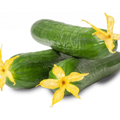 Три огурца с желтыми цветами на белом фоне - МЕТРЕНГ