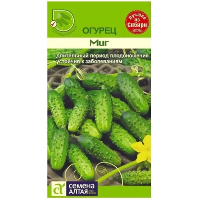 Пакет семян огурца МИГ с изображением зеленых огурцов и желтого цветка.