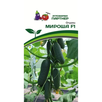 Пакет семян огурца МИРОША F1 на фоне грядки с растущими огурцами