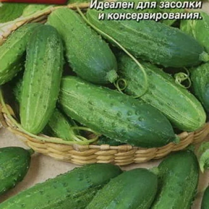 Basket of cucumbers with text: Ideal for pickling and canning. - MITYAY