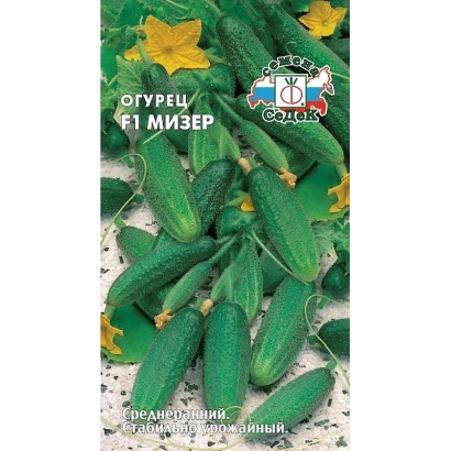 Cucumber seeds F1 Mizer on a background of green cucumbers and yellow flowers.
