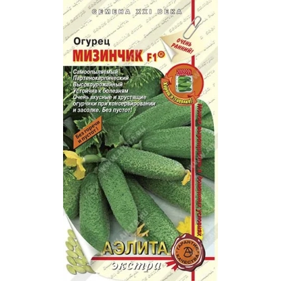 Seed packet of cucumber MIZINCHIK F1 with image of green cucumbers