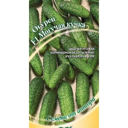 Насіння огірка сорту Могуча кучка на упаковці - МОГУЧНИЙ КУПКА