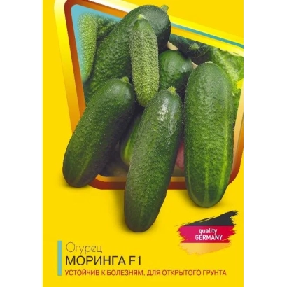 Пакет семян огурца Моринга F1
