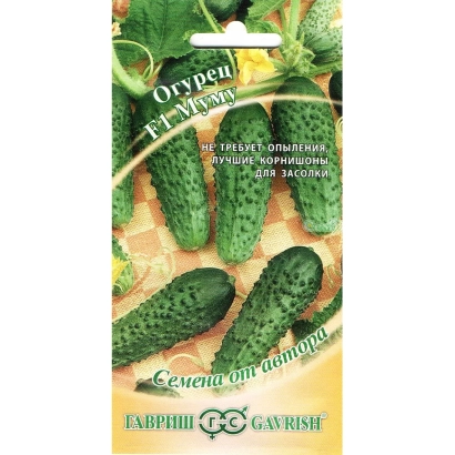 Seed packet of cucumber MUMU with image of green cucumbers