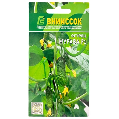 Пакет семян огурца МУРАВА F1 от бренда ВНИССОК