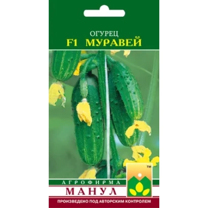 Семена огурца Муравей F1 на зеленом фоне с изображением огурцов и цветов.