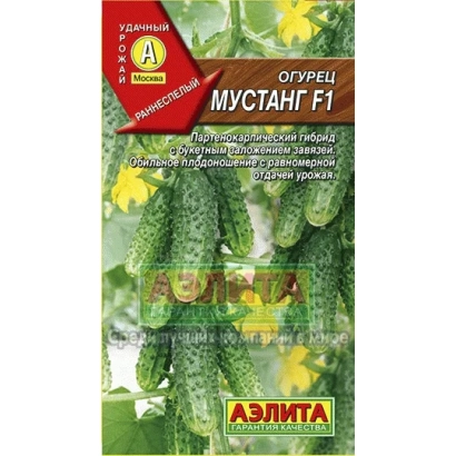 Пакет насіння огірка Мустанг F1 на фоні огірків