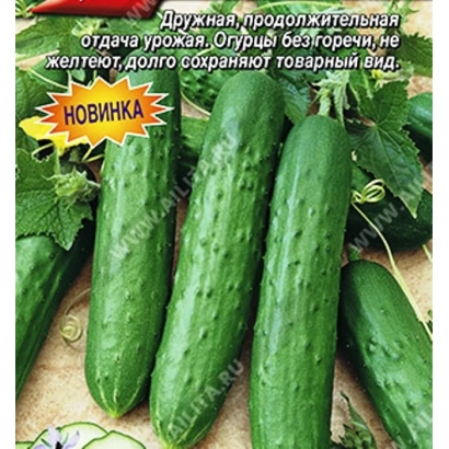 Огірки сорту НАЛЕТАЙКА на фоні зелені
