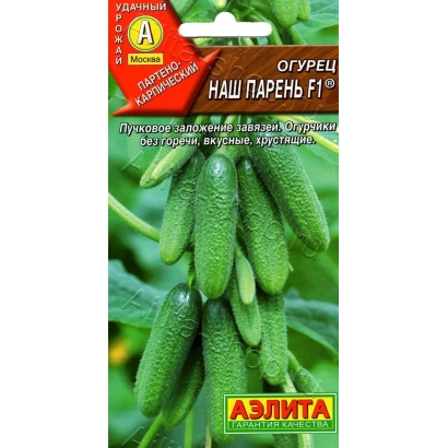 Пакет насіння огірка «НАШ ПАРЕНЬ F1» з зображенням зелених огірків - НАШ ХЛОПЕЦЬ