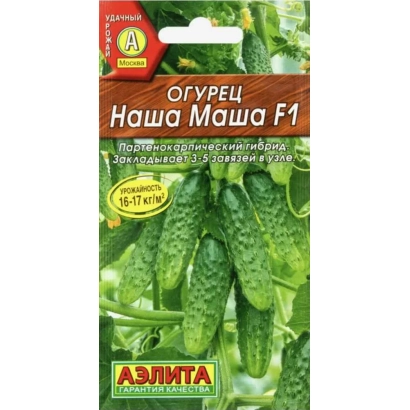 Seed packet of cucumber variety 'Our Masha F1' with image of green cucumbers.