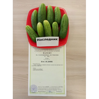 Green cucumbers of variety HEIRLOOM on red base with label