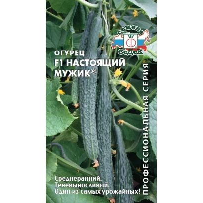 Cucumber seeds of the Real Man variety on packaging