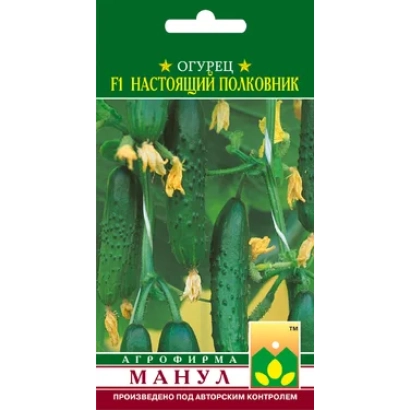 Пакет насіння огірка «Справжній полковник F1» з зображенням зелених огірків та жовтих квітів.