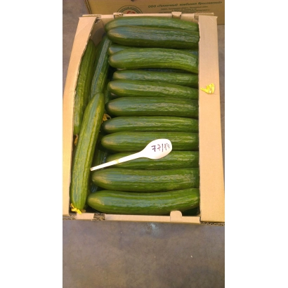 Коробка огірків сорту Нева