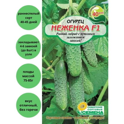 Seed packet of cucumber Nejanka F1 with image of green cucumbers - NEJENKA