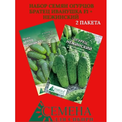 Pack of cucumber seeds NEZHINSKY SIBIR with image of green cucumbers - NEZHINSKY SIBIRI