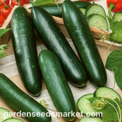 Свіжі огірки на дерев'яній дошці з логотипом gardenseedsmarket.com - ОБЕЛІКС F1