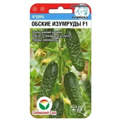 Пакет семян огурца «Обские изумруды F1» с изображением плодов - ОБСКОЙ