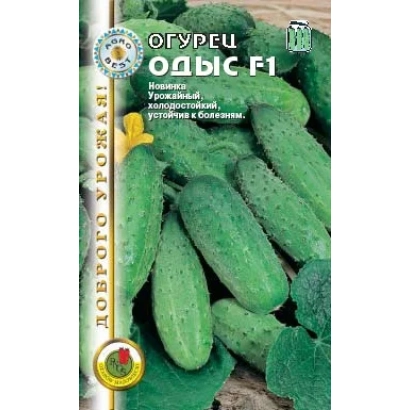 Пакет семян огурца ОДЫС F1 с изображением плодов