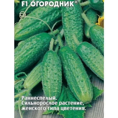 Пакет семян огурца сорта Огородник