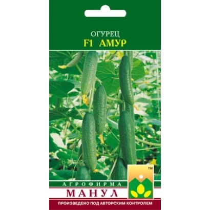 Насіння огірка Амур F1 на зеленому фоні з зображенням плодів