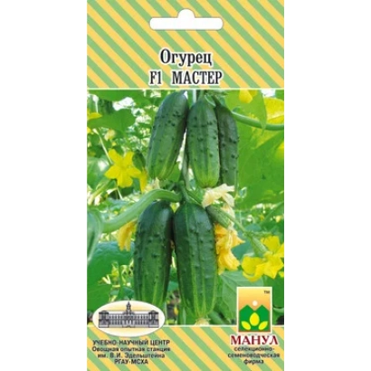 Пакет семян огурца F1 МАСТЕР с изображением плодов и цветов