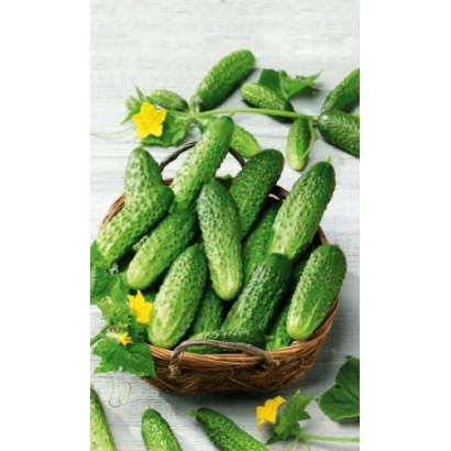 Корзина с огурцами и листьями на светлом фоне - ОГУРЕЧНЫЙ ПРОСПЕКТ