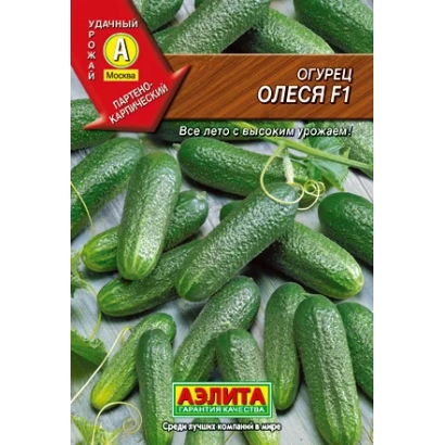 Seed packet of cucumber Olesya F1 against fresh cucumbers