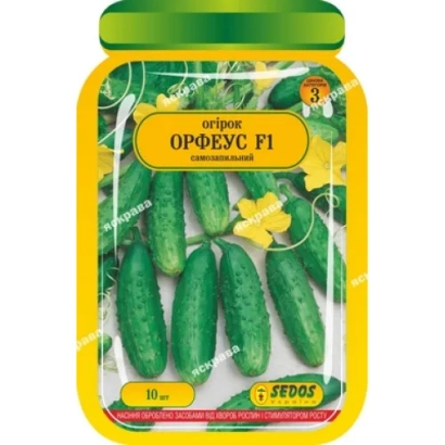 Пакет семян огурца Орфеус F1 с изображением плодов
