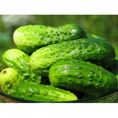 Свежие огурцы в стеклянной миске - ПАРАДОКС