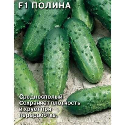 Семена огурца F1 ПОЛИНА на упаковке с изображением плодов - Паулина