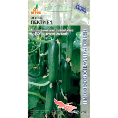 Семена огурца ПЕКТИ F1 на пакете с изображением растения