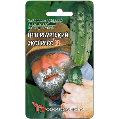 Seed packet of cucumber PETERSBURG EXPRESS F1 with image of cucumber and face