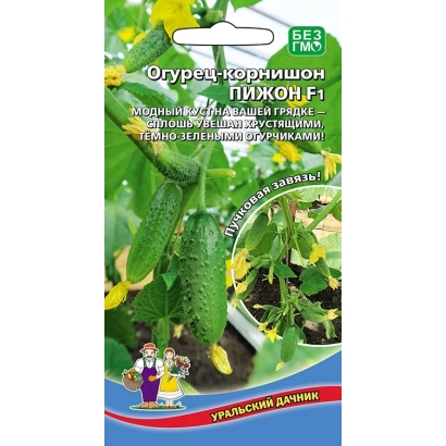 Семена огурца Пижон F1 на фоне зеленых листьев и цветов