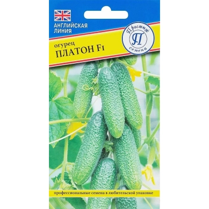 Семена огурца ПЛАТОН F1 на пакете с изображением плодов