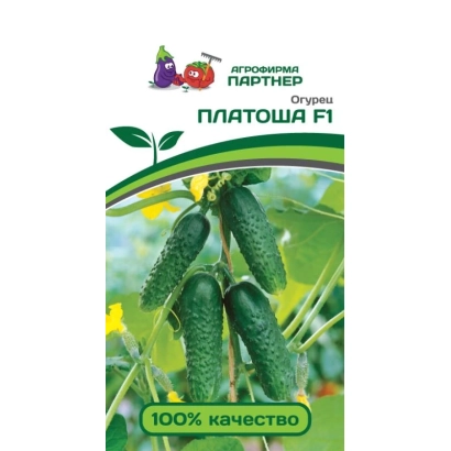 Пакет насіння огірків Платоша F1 з зображенням плодів