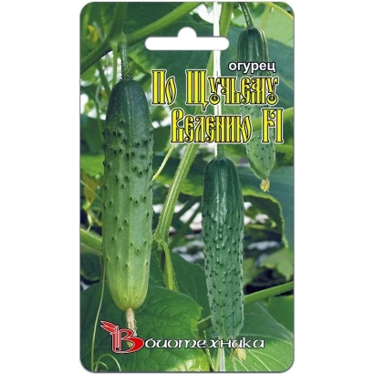 Пакет семян огурца «По Щучьему Велению» с изображением зеленых огурцов на фоне листвы.