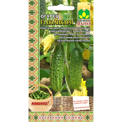 Seed packet for cucumber variety POLYCARP featuring fruit images and brand logo