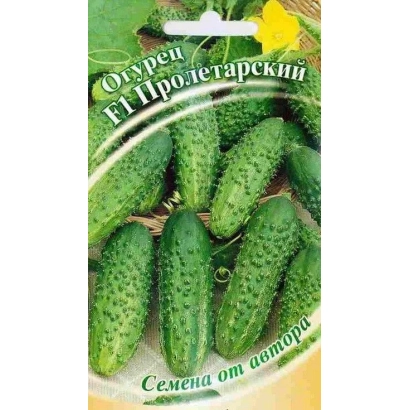 Пакет насіння огірка Пролетарський з зображенням зелених огірків