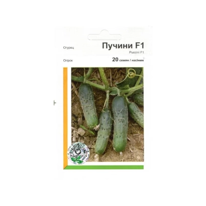 Пакет насіння огірка Пучині F1 з зображенням плодів - Пучини РЦ F1